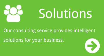 green rectangle detailing consultation services provided